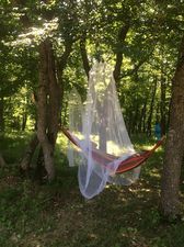 კოჯორი_6